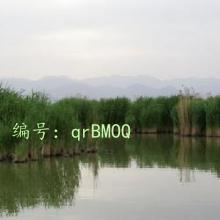 ʾ԰