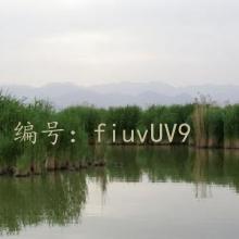 ҵ