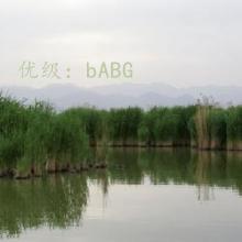 Ҹ