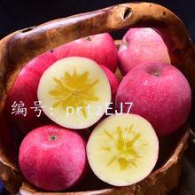 ṹ