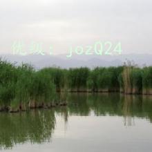ҵ