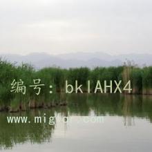 ҵ
